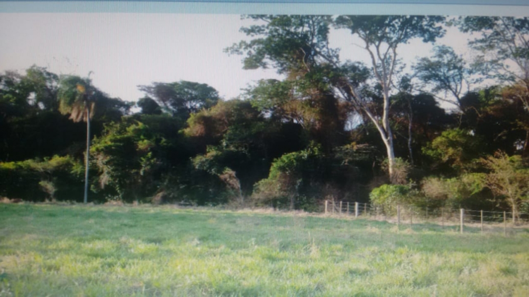 Terreno, 1247 m² - Foto 1