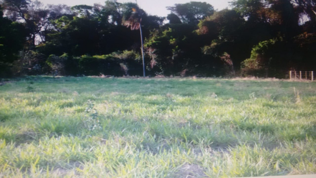 Terreno, 1247 m² - Foto 5