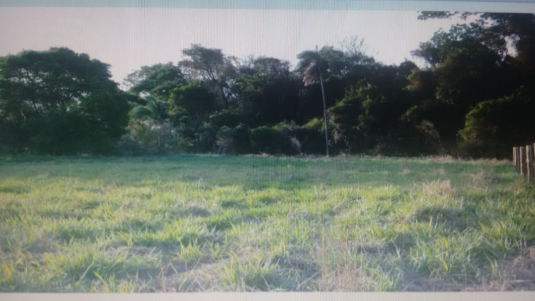 Terreno, 1247 m² - Foto 9