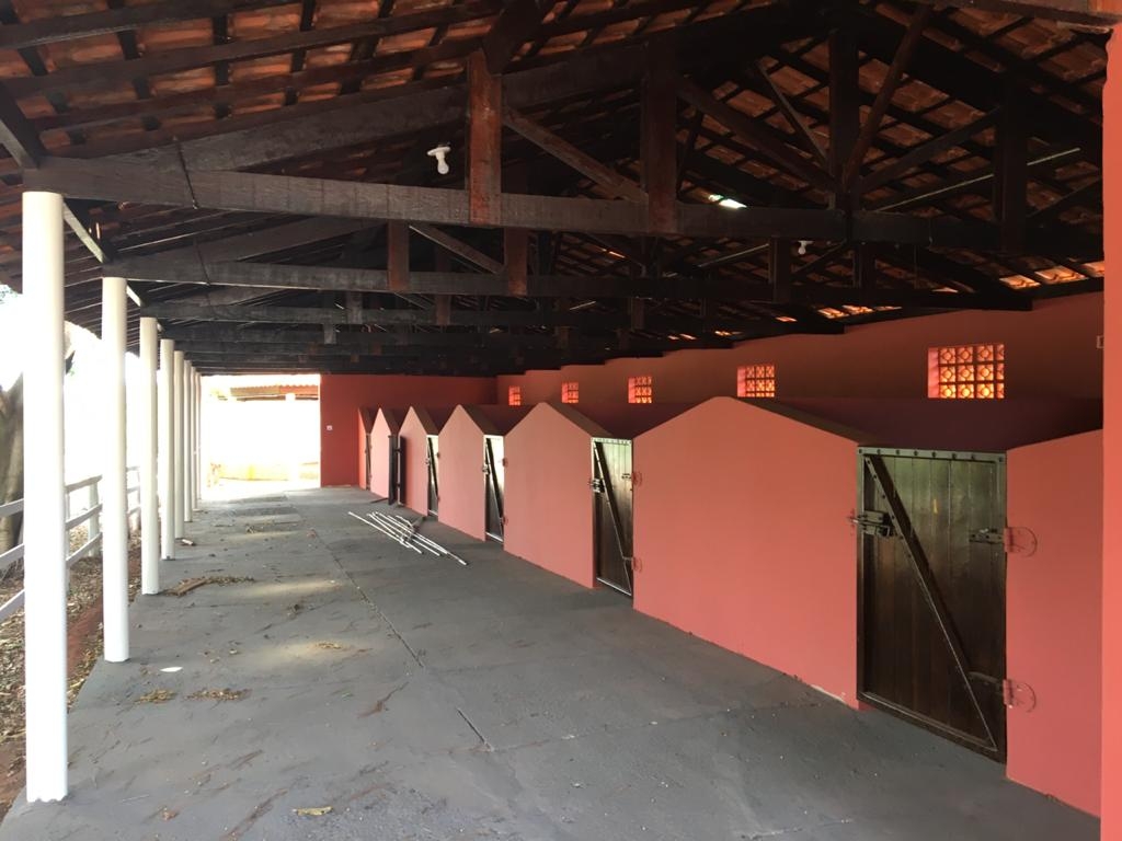 Sítio, 3 quartos, 3 hectares - Foto 21