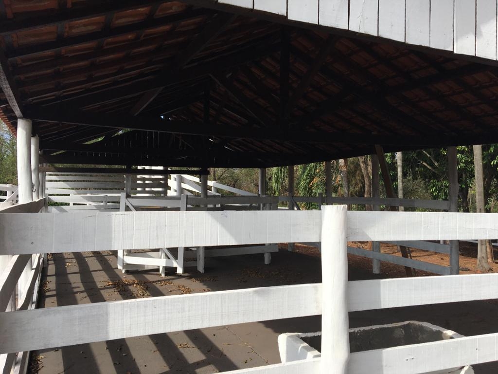 Sítio, 3 quartos, 3 hectares - Foto 22