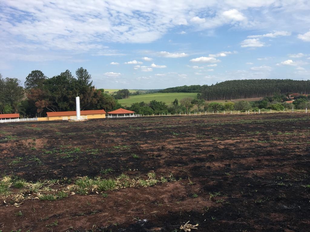 Sítio, 3 quartos, 3 hectares - Foto 28