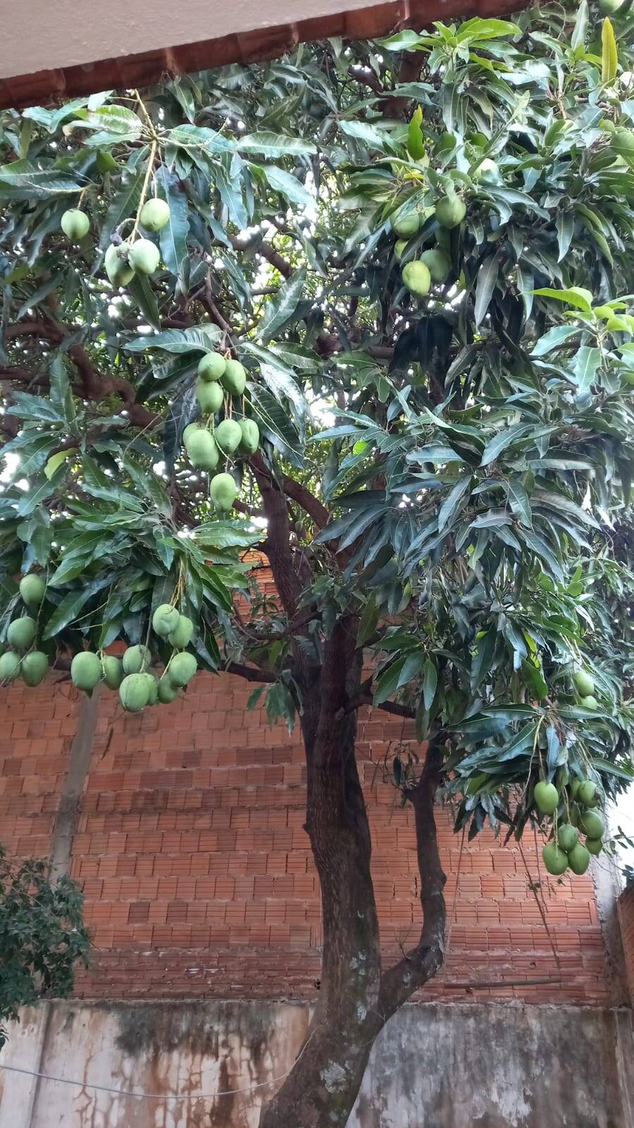 Casa, 2 quartos, 90 m² - Foto 6