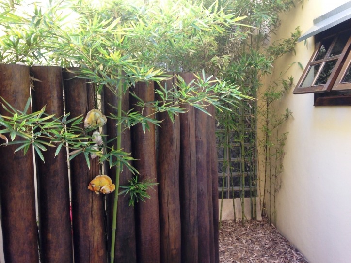 Casa, 5 quartos, 385 m² - Foto 5