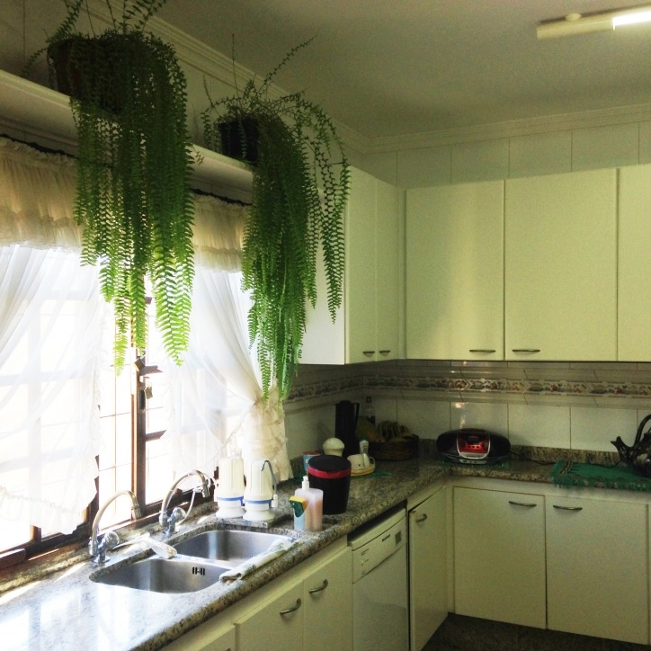 Casa, 5 quartos, 385 m² - Foto 42