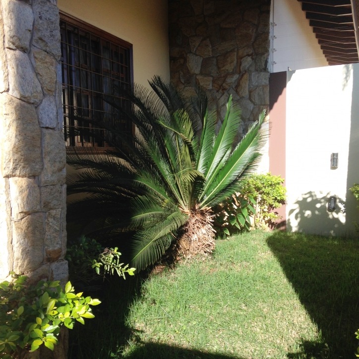 Casa, 5 quartos, 385 m² - Foto 41