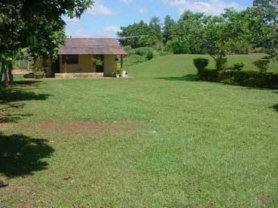 Chácara à venda com 3 quartos, 42000m² - Foto 4
